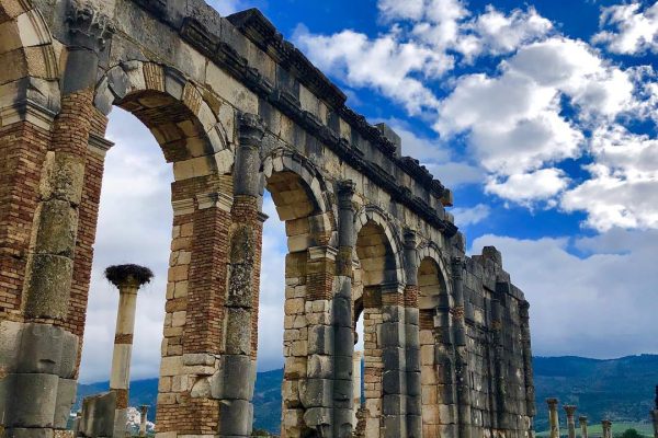 Volubilis meknes