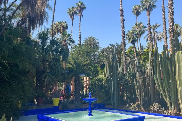 Majorelle Gardens in Marrakech