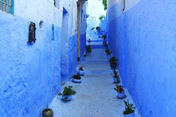 Chefchaouen blue pearl morocco